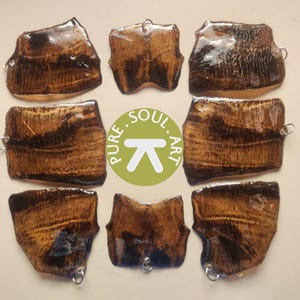 Resin Coated Dangle Turtle Shell Scale Earrings, Oddities, Natural Material, and Ethically Sourced