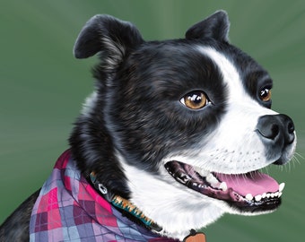 Color Pet Portrait