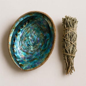 May include: An oval abalone shell with an iridescent interior featuring swirling shades of blue, green, and purple, alongside a bundle of dried sage leaves tied together with thin brown twine, presented as two distinct items side by side.