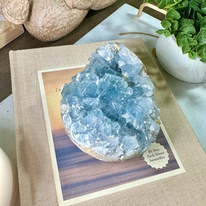 Celestite Crystals Crystal Shop Crystal Healing Crystal Celestite Cluster Raw Celestite Blue Celestite Celestite Geode