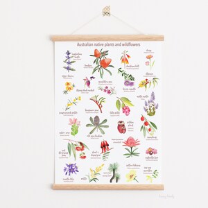 AUSTRALIAN NATIVE Plants and wildflowers print, A to Z australia native, wildflowers of Australia, Personalized gift