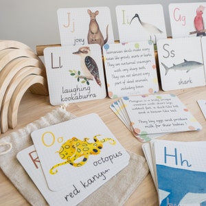 FLASHCARDS Australian Animal Alphabet - Australien thematisiertes Spielzimmer, australisches einheimisches Tier, Montessori-Spiel, Kleinkind-Lernspiel, Lernen