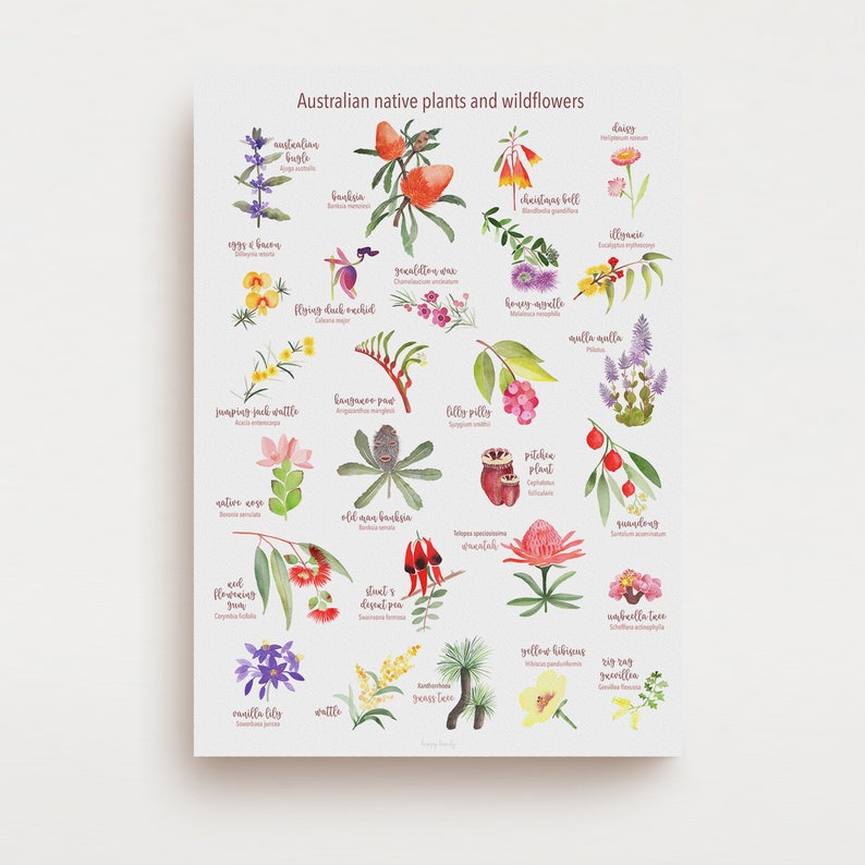 AUSTRALIAN NATIVE Plants and wildflowers print, A to Z australia native, wildflowers of Australia, Personalized gift 1 - with title