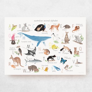 Alfabeto degli animali AUSTRALIANI - cameretta a tema Australia, stampa di animali nativi australiani, decorazione da parete per sala giochi Montessori, regalo per baby shower