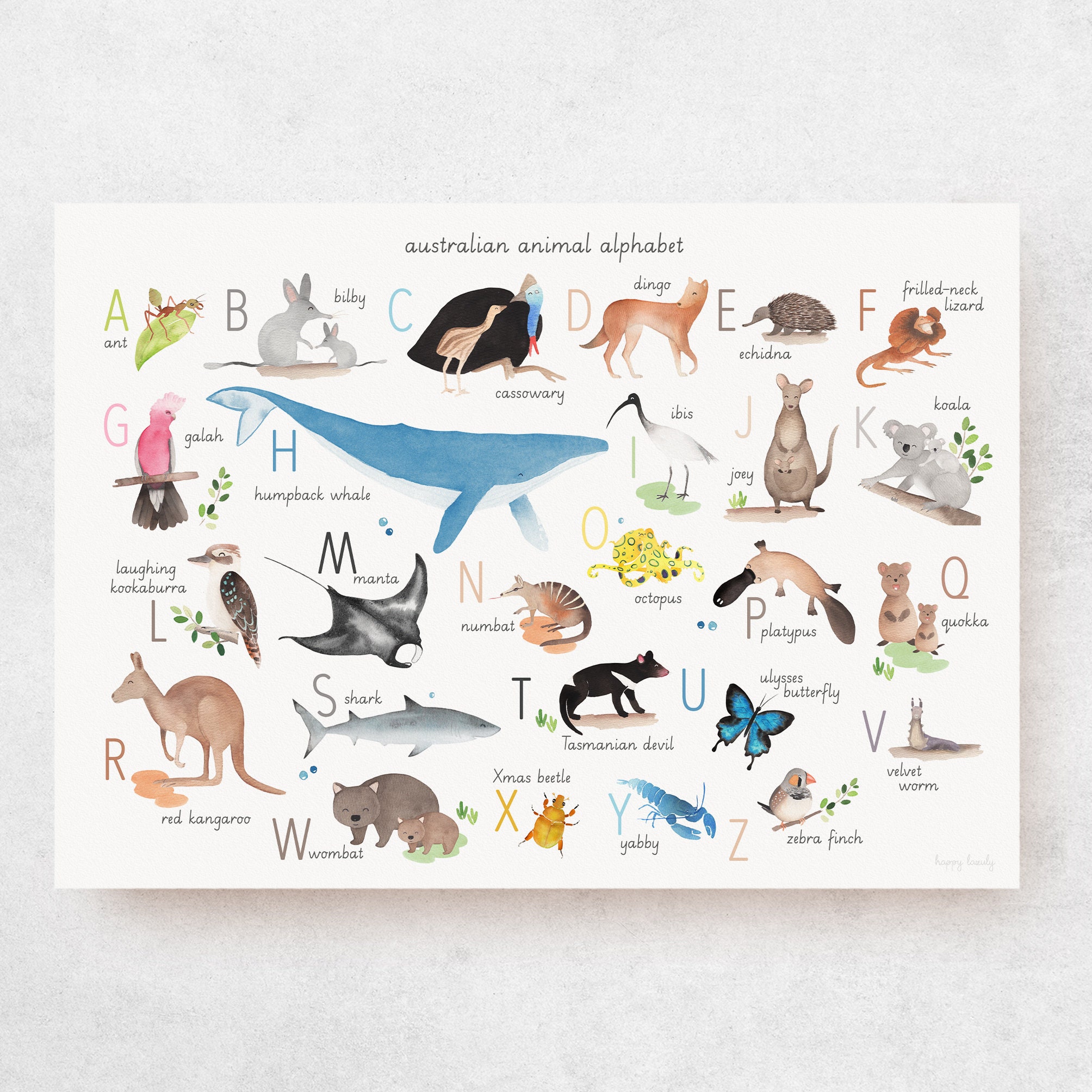 Australian Alphabet Australian Alphabet