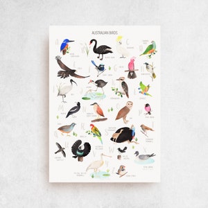 AUSTRALIAN BIRDS print- "A to Z of iconic Australian Birds" - ABC of birds, art, Australian native animals, native birds, personalised gift