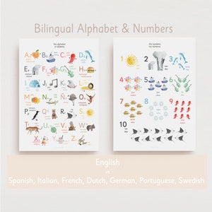 Alfabeto y números BILINGÜE, ABC, montessori, niños, idioma, ABC, bilingüe inglés, francés, italiano, alemán, holandés, español, portugués