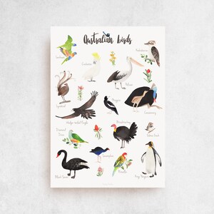 AUSTRALIAN BIRDS - Kid and Nursery poster "Australia Birds" - Alphabet nursery art, Australian animal, nursery art, kids illustration