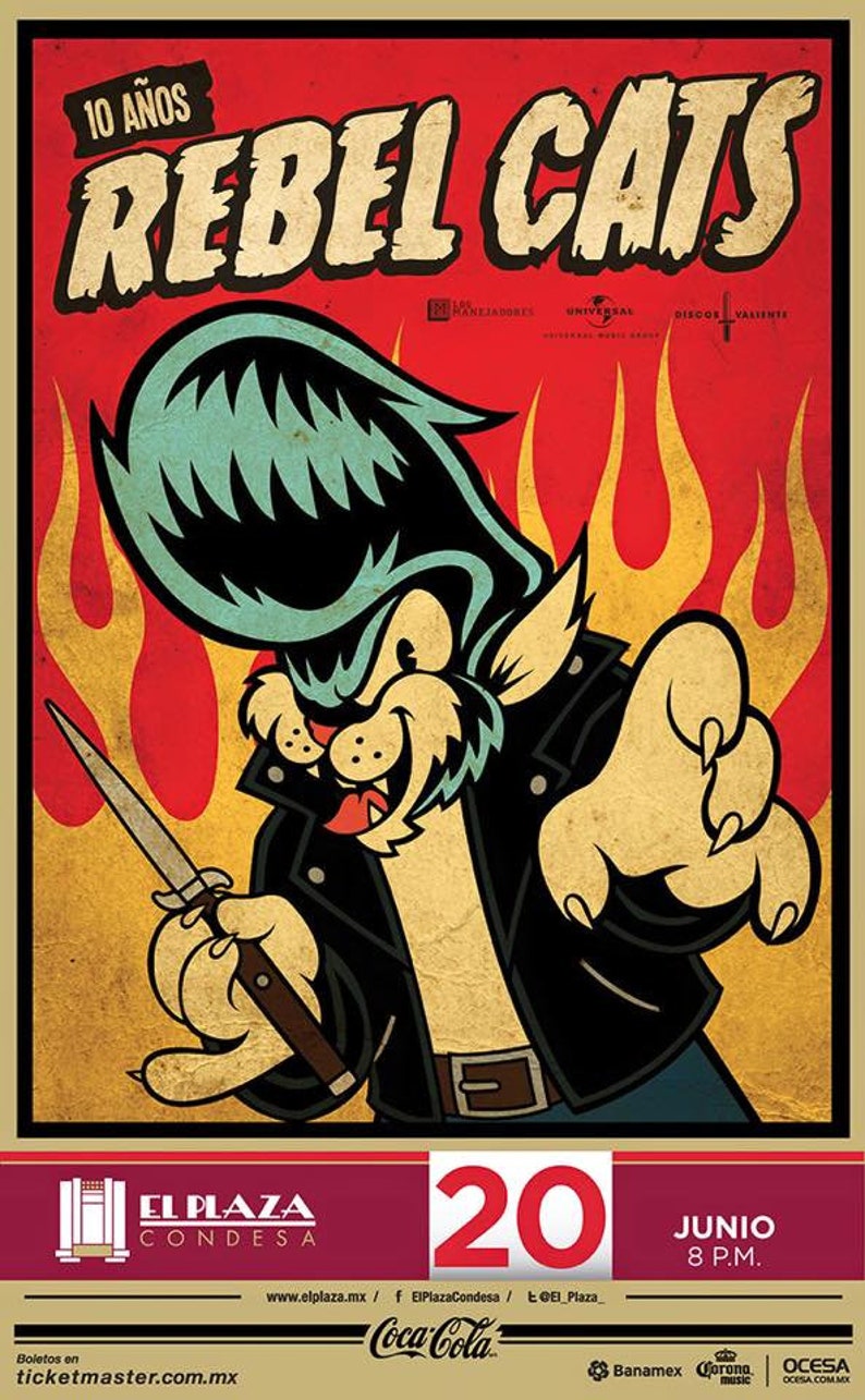 Cat of the rebel cats