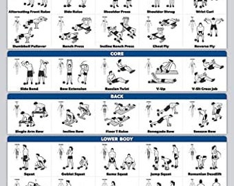 mark spinal cord nerve functions poster etsy