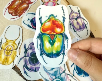 Pride Beetle Stickers - Bug Art - LGBTQ Art