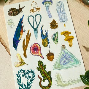 Folha de adesivos de forragem - Folha de adesivos de plantas, animais e insetos