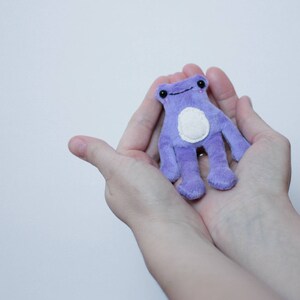May include: A small purple plush frog with a white belly and a happy face. The frog is being held in two hands.