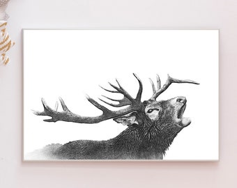 Elk Wall Art, Elk Digital Pencil Drawing, Elk Wall Decor, Elk Art Print, Animal Lover Gift, Printable Animal Wall Art, Digital download