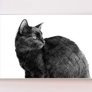 Black Cat Printable, Black Cat Artwork, Black Cat Print, Black Cat Pencil Drawing, Black Cat Wall Art, Digital download