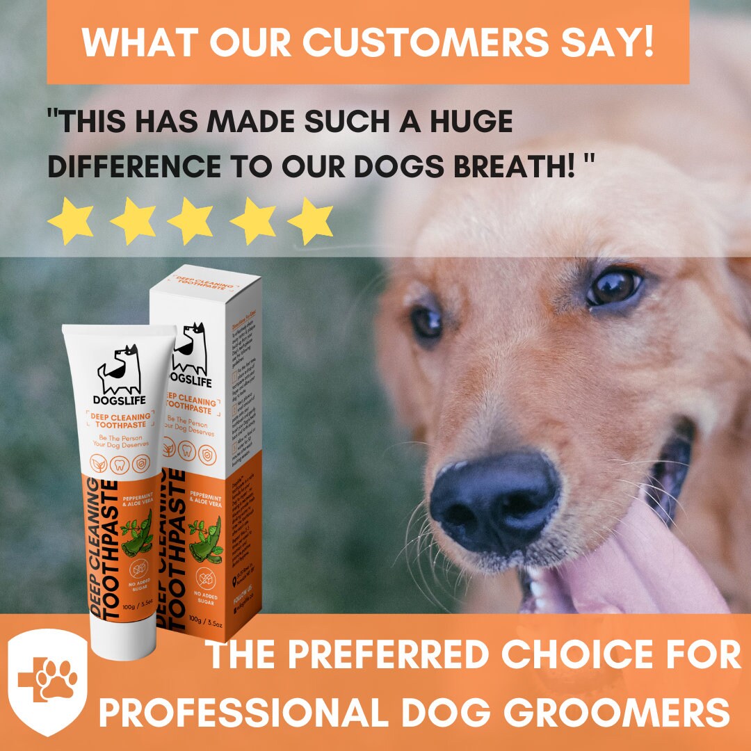 Dog Toothpaste Natural Toothpaste For Dogs Natural Pet Etsy