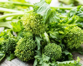 Friarielli-zaden (Brassica rapa subsp. sylvestris) - Napolitaanse broccoli - Raapstelen - Biologische erfgoedzaden voor natuurlijke landbouw