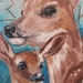 see more listings in the animals section