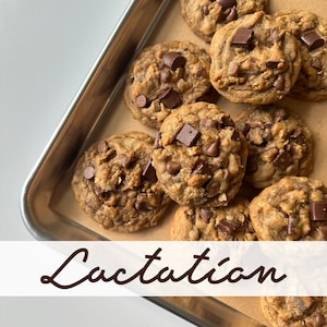 Chocolate Chunk Lactation Cookies