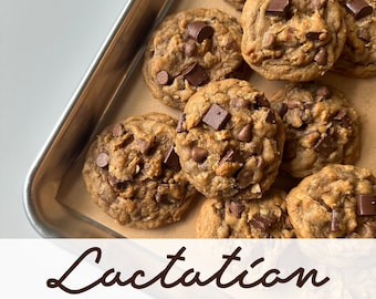 Oatmeal Chocolate Chunk Lactation Cookies