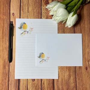 Juego de escritura Fluffy Robin A5, correo postal, Happy Post, amigo por correspondencia, papelería personalizada, juego de cartas, papel y sobres para escribir A5, papel para notas