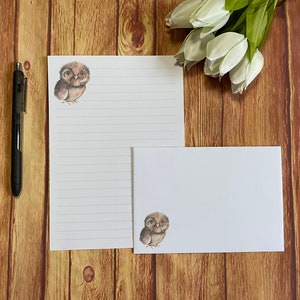 Juego de escritura Fuzzy Owl A5, correo postal, Happy Post, amigo por correspondencia, papelería personalizada, juego de cartas, papel y sobres para escribir A5, papel para notas