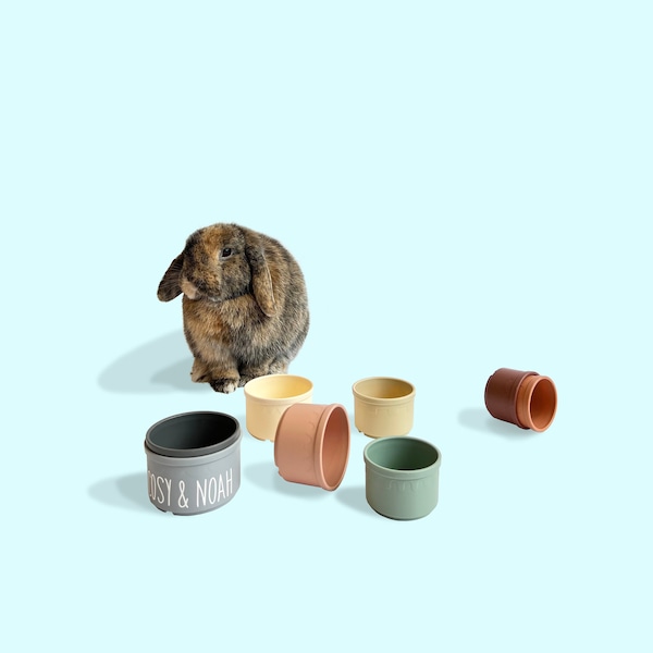 Stacking Cups | Bunny Enrichment Pet Toy