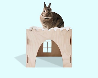 Rabbit Castle and Ramp
