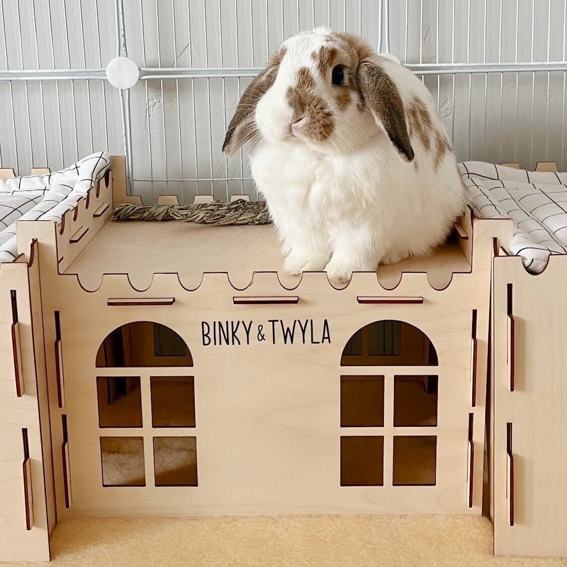 Mega Fort Castle Guinea Pig Hutch House – PETSGANG