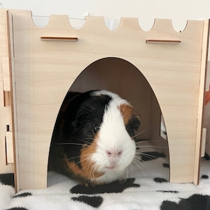 Guinea Pig Castle