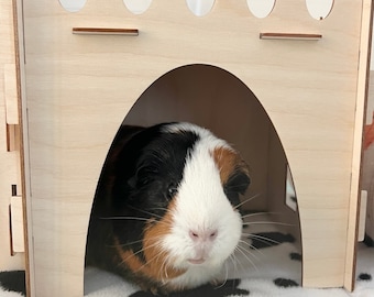 Castello del porcellino d'India