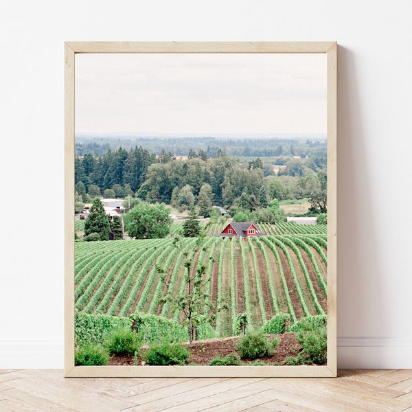 Willamette Valley Wine Country Print, Nature Digital Art, Barn Print