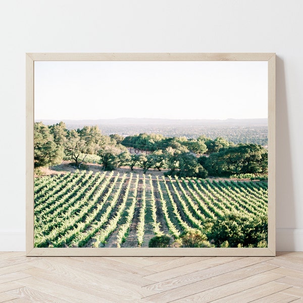 Sonoma Wine Country Photo, Vineyard Photography, Wine Wall Art, Wine Print