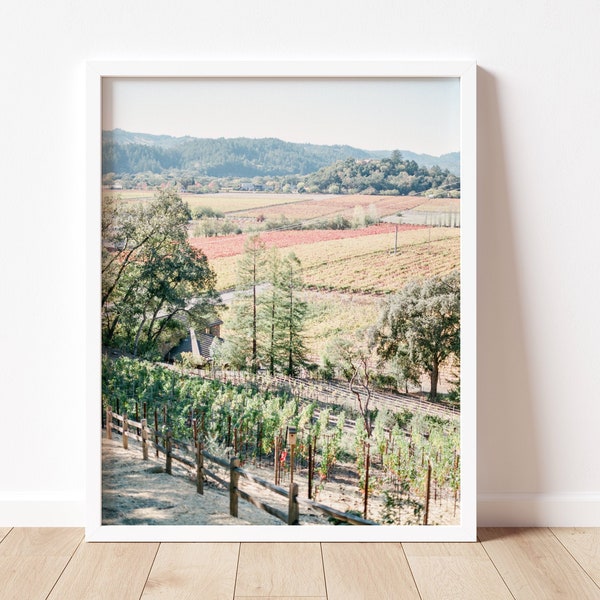 Napa Valley Wine Print, Vineyard Vines, Wine Art, Wine Decor