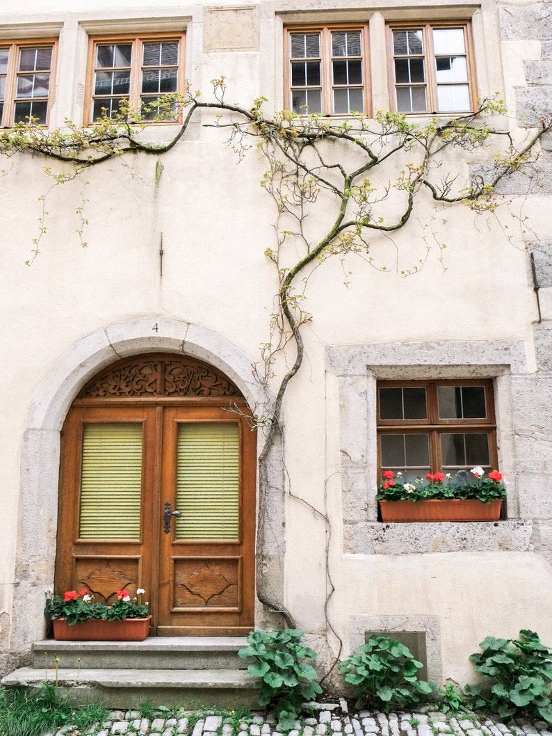 Rothenburg Germany Print Ivy Door Photo Door Architecture Germany Door Photography