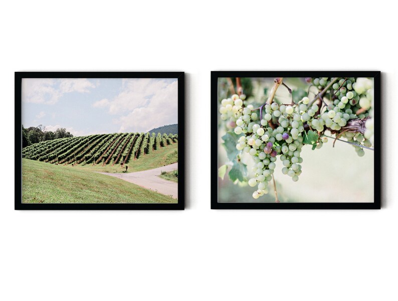 Wine Print Wine Country Decor Wine Wall Art Wine Poster Etsy