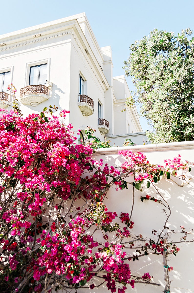 Floral White Building Photo, San Francisco Print, Architecture Photo, Window Print image 4