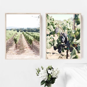 Sunny Wine Country Print, Landscape Photo, Wine Wall Art, Wine Print