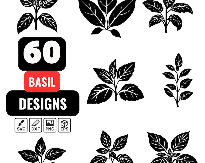 Basil SVG and PNG, Botanical Hand Drawn Apothecary Elements, Herb ...