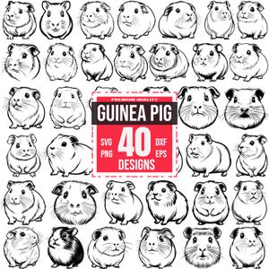 May include: A collection of 40 guinea pig designs in SVG, PNG, DXF, and EPS formats. The illustrations are black and white, featuring various poses and expressions of the small rodent. The text "Premium Quality Guinea Pig" is displayed.