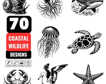 70 Küstenwildleben SVG Bundle - Meerestier Clipart, Meeresleben SVG Set - Qualle, Hai, Schildkröte, Krabbe, Ozean Wildtiere, Wassertiere