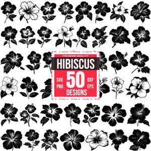 May include: A set of 50 black and white hibiscus flower illustrations. The illustrations are in a variety of poses and styles. The text "PREMIUM QUALITY" and "HIBISCUS 50 DESIGNS" is in a red box.