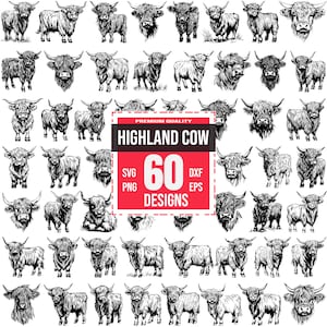 Puede incluir: Un conjunto de 60 ilustraciones vectoriales en blanco y negro de vacas Highland en varias poses. Las ilustraciones son perfectas para manualidades, scrapbooking y otros proyectos creativos. El texto "HIGHLAND COW" y "60 DESIGNS" se muestra en rojo.