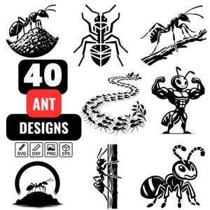 May include: A collection of 40 ant designs in black and white. The designs include various ant illustrations, such as ants on a hill, climbing a branch, and marching in a line. The image also includes file type icons: SVG, DXF, PNG, and EPS.