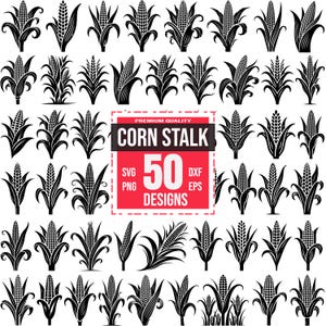 Corn Stalk SVG Bundle | Farm Crop Designs| Rustic Agriculture, Harvest Clipart, Cricut & Laser Cut