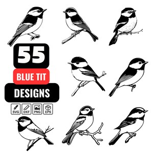 Może przedstawiać: Czarno-białe ilustracje sikor modrych na gałęziach. Obraz zawiera tekst "55 BLUE TIT DESIGNS" oraz ikony typów plików (SVG, DXF, PNG, EPS). Ptaki są szczegółowo i stylowo przedstawione.