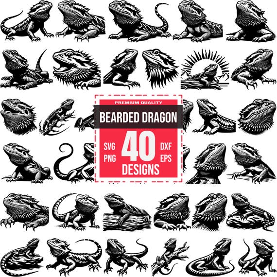 Señal Metálica Divertida De Advertencia Para Dragones Barbudos – Placa Decorativa De Lagarto 20x30 Cm – Regalo Para Amantes De Mascotas Exóticas