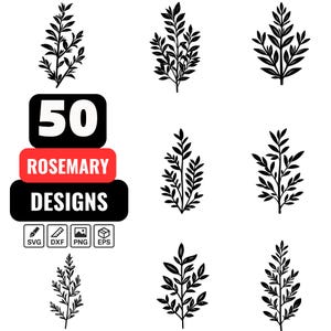 50 Rosemary SVG Bundle – Elegant Rosemary Branch and Herb Designs for Cricut, Silhouette, and Digital Crafting