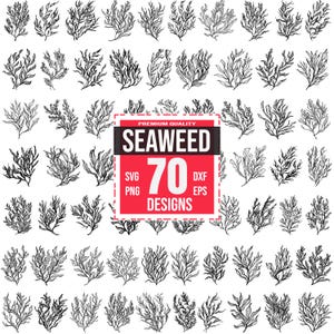 May include: A collection of 70 seaweed designs in black and white, with various shapes and styles. The designs are arranged around a red and black square that reads "SEAWEED 70 DESIGNS" with file type abbreviations. The image is suitable for digital art.