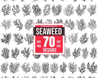 Seaweed SVG Bundle, 70 Marine Plant Silhouette Designs, Underwater Clipart for Cricut, Sea Kelp, Ocean Vegetation Vector, Aquatic Plant SVG